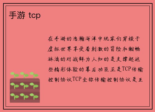 手游 tcp
